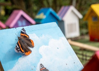 Butterfly resort www.horwoodhouse.live